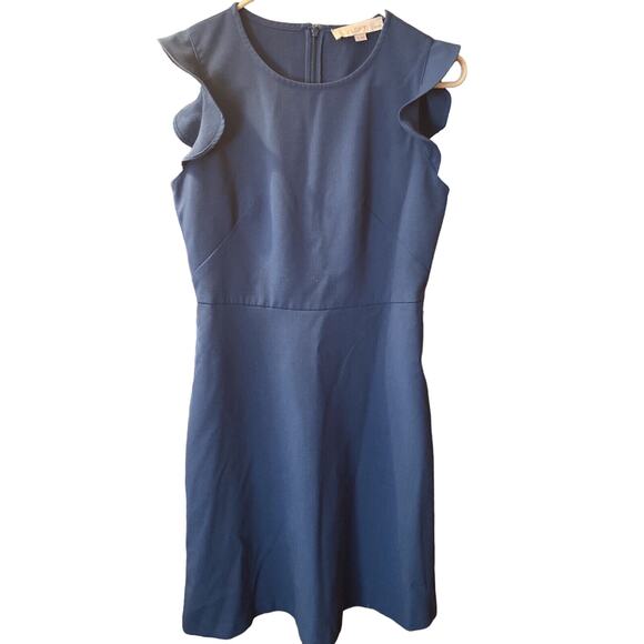 LOFT Dresses & Skirts - Ann Taylor Loft Petites Ladies 0P Blue Sleeveless Back Zip Dress